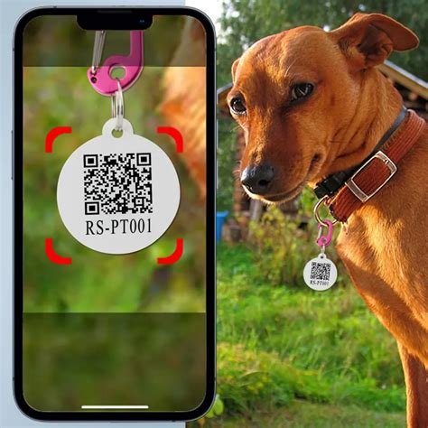 nfc pet tag|qr code pet id tag.